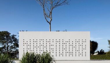 white cubic facade wraps home and studio around a tree in brazil