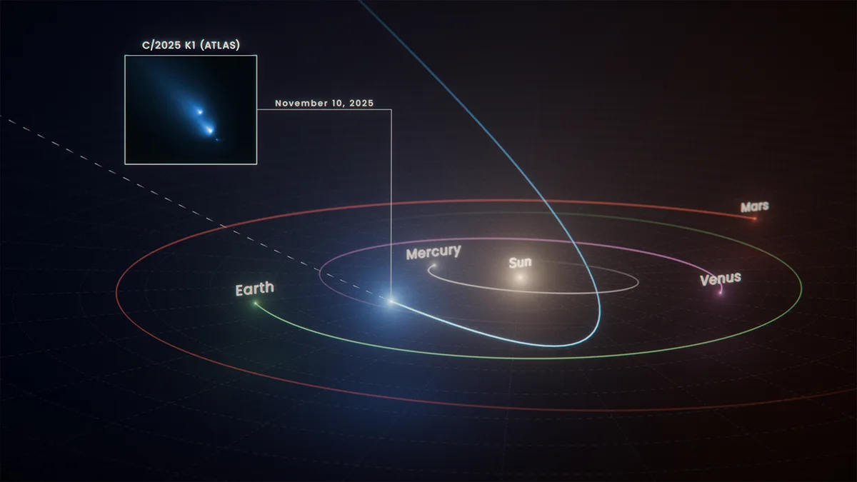 Artist's impression showing the orbit of comet C/2025 K1 (ATLAS) in our Solar System. Illustration: NASA, ESA, Ralf Crawford (STScI)