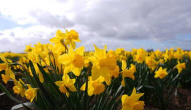 Cork woman urges breast cancer checks after surprise diagnosis from delayed scan