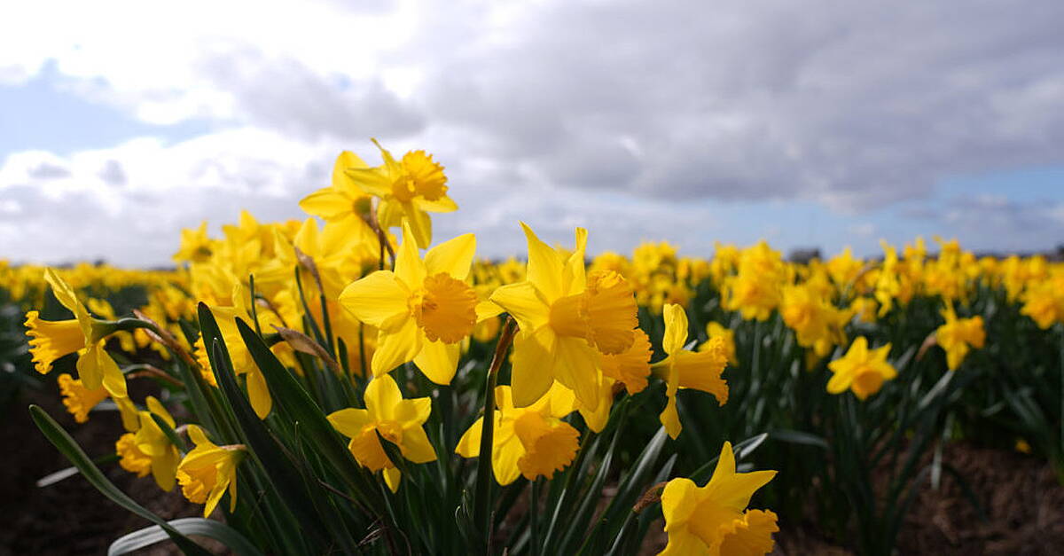 Cork woman urges breast cancer checks after surprise diagnosis from delayed scan