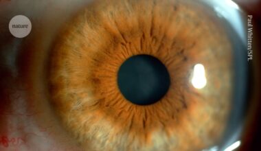 Eye drops made from pig semen deliver cancer treatment to mice