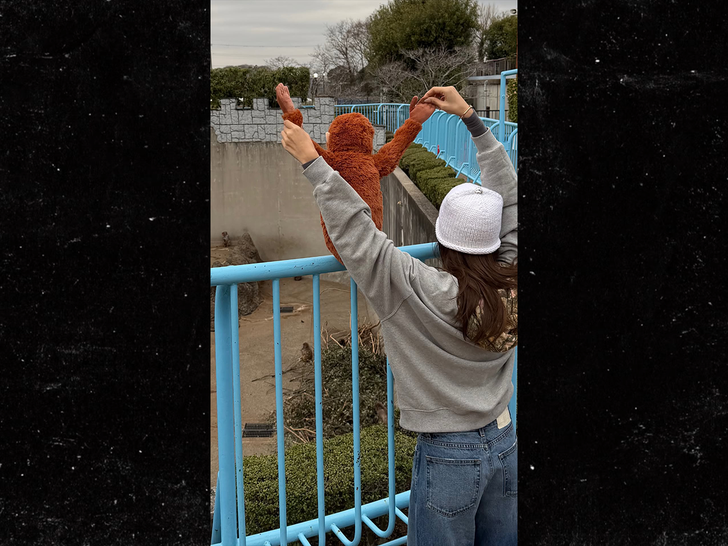 lisa punch monkey insta 2