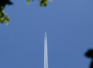 Ireland and Brazil discuss air services agreement