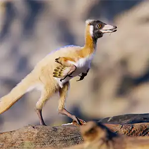 A new study of fossils from a bird-like dinosaur, called Alnashetri, provides new insight into how its lineage evolved, shrank and spread across the ancient world. Credit: Gabriel Díaz Yantén, Universidad Nacional de Río Negro.