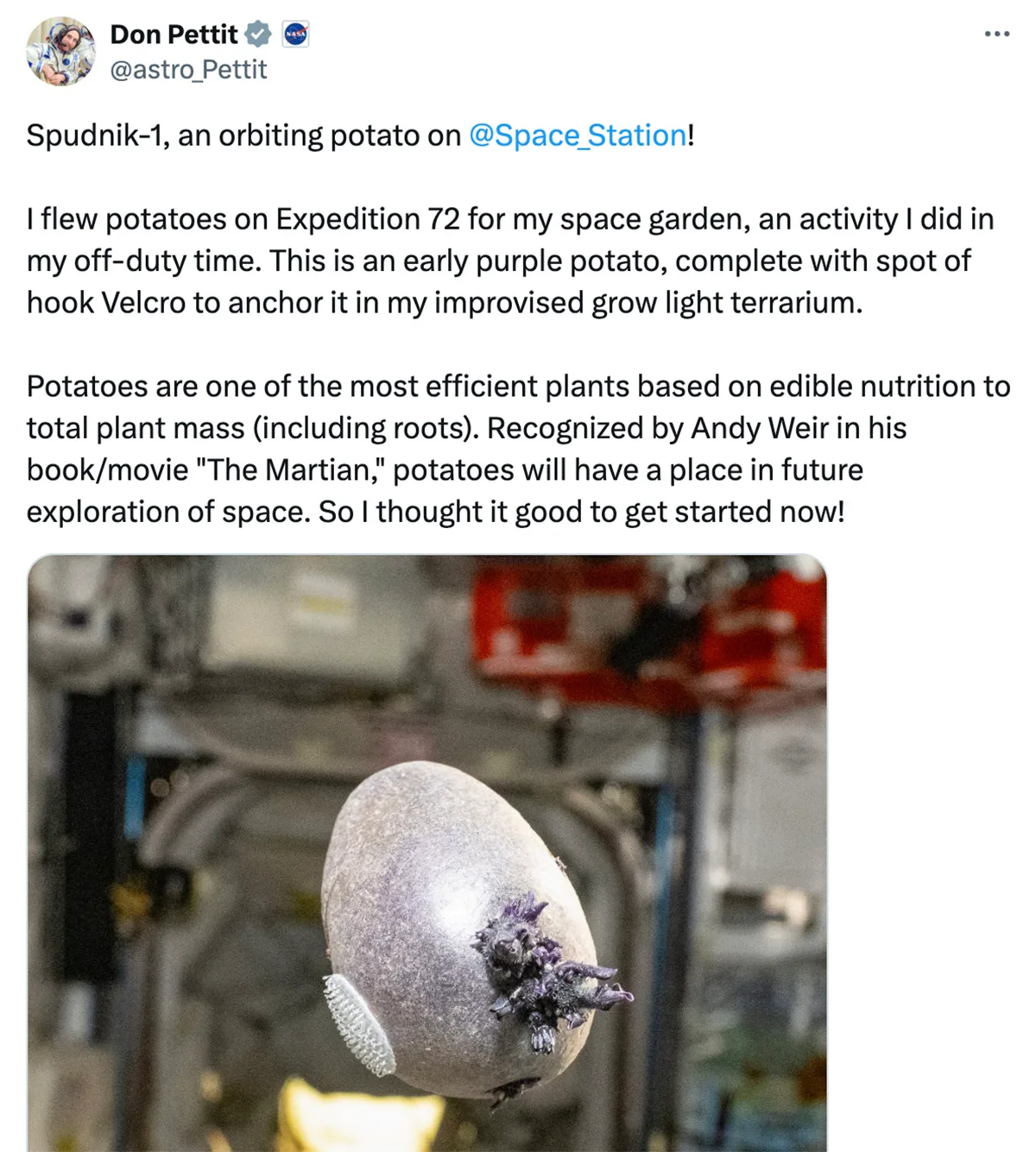 don pettit potato tweet