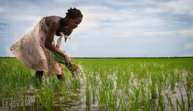 Gender Gap in Agribusiness Threatens Africa's Climate Goals, Report Warns