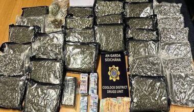 Drugs worth more than €700,000 seized and two men arrested in Dublin