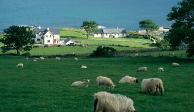 Should Rules Around One-Off Housing In Rural Ireland Be Relaxed?