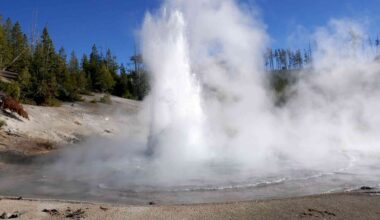 Rare 'acid geyser' in Yellowstone forcefully erupts after long silence