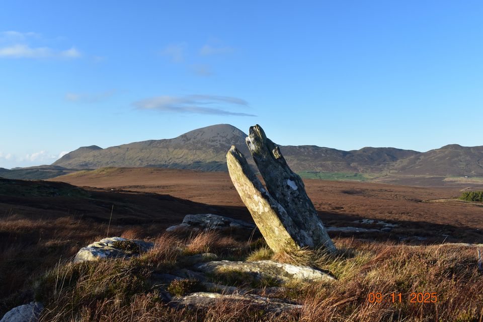 Recently discovered standing stones on the Croagh Patrick landscape. Photo: Michael Gibbons