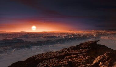 Artist's impression of the surface of a planet in the Proxima Centauri system. Credit - ESO/M. Kornmesser