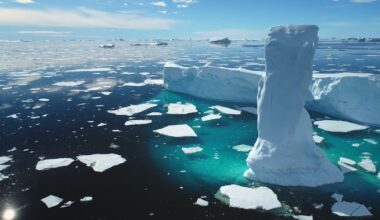 The Arctic Ocean and Why You Literally Can't Live Without It