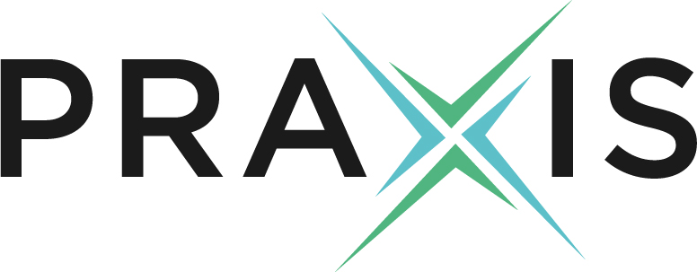 Praxis Precision Medicines Announces FDA Acceptance and Priority Review of New Drug Application for Relutrigine in Patients with SCN2A and SCN8A DEEs