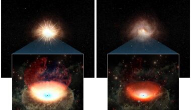Artist's impression of an active galactic nucleus (AGN) going through a bright and dim cycle. The upper panels show the entire galaxy and the lower ones show the central AGN as it grows dimmer over time due to a diminishing flow of gas. Credit: Chiba Institute of Technology