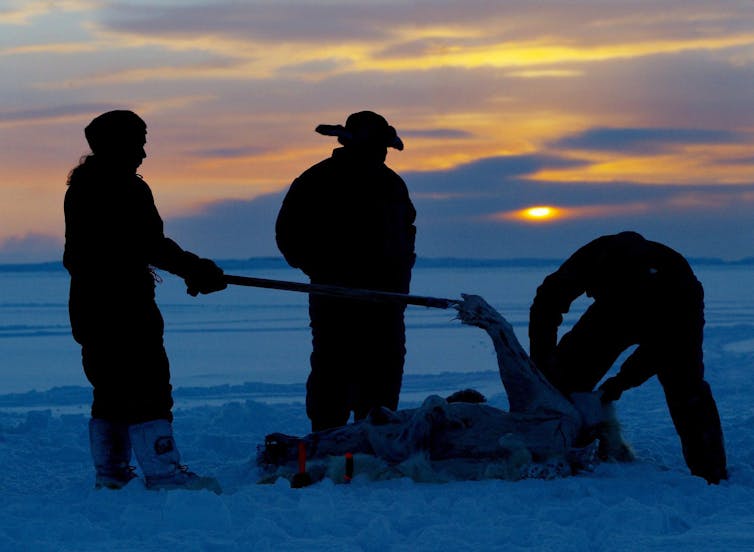 three people stand on a the ice skinning an animal carcass. The setting sun is seen behind them.