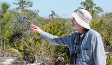 Paul Ehrlich, often called alarmist for dire warnings about human harms to the Earth, believed scientists had a responsibility to speak out