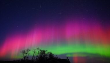 A million new SpaceX satellites will destroy the night sky — for everyone on Earth