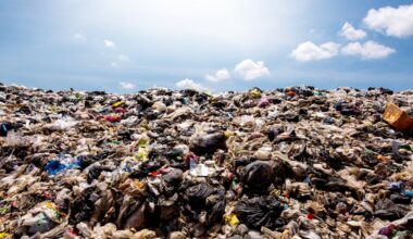 The world’s waste mountain is rising at an alarming rate