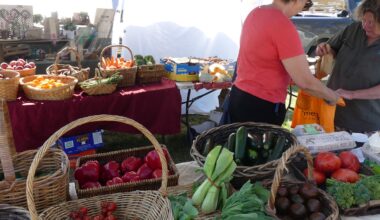 war fuel price shocks reveal the folly of a long food supply chain