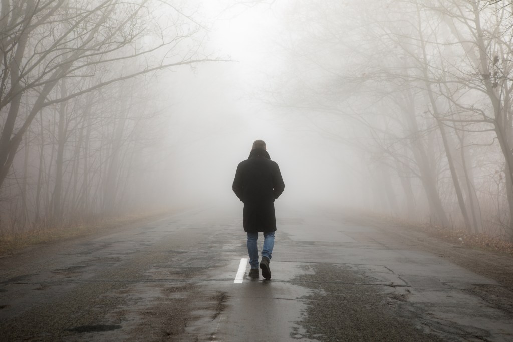 A person walks down a foggy road lined with bare trees.