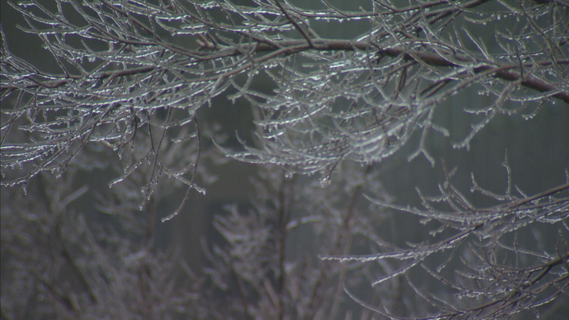 Click to play video: 'City of Montreal, Hydro-Québec bracing for a messy March storm'