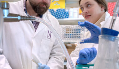 Brain tumors hijack sugar metabolism to evade immune attack