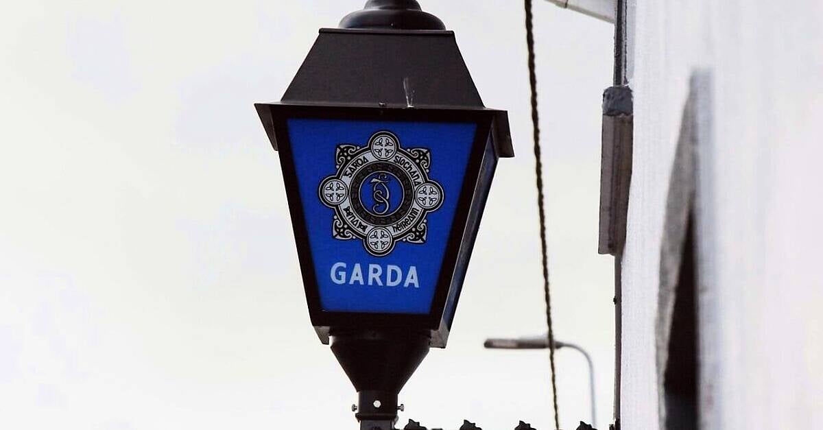 Gardaí appealing for information over criminal damage to trains in Westmeath