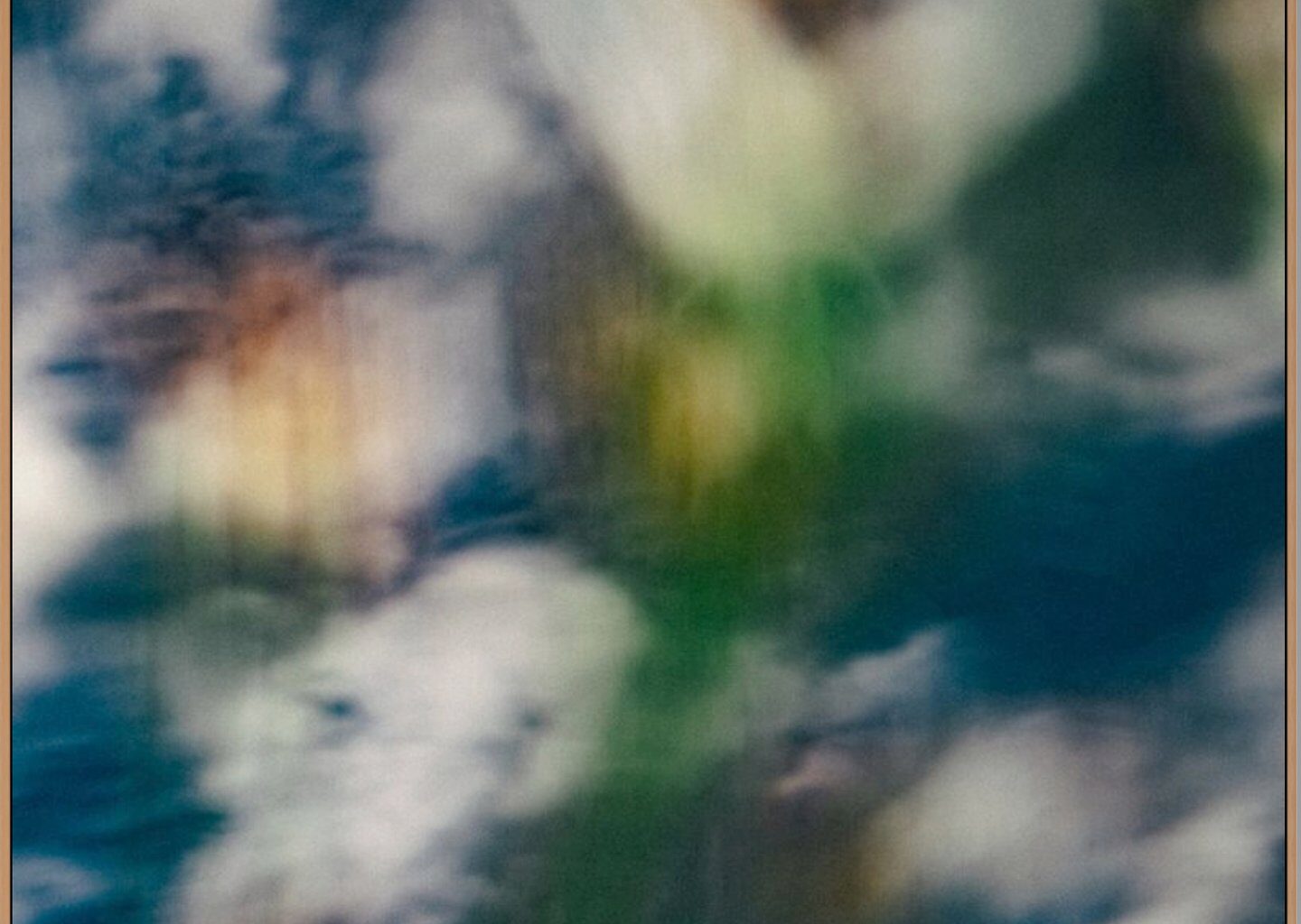 Gideon Tsang’s blurred and distorted work is nature photography as you’ve never seen it before