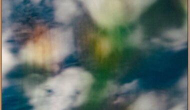 Gideon Tsang’s blurred and distorted work is nature photography as you’ve never seen it before