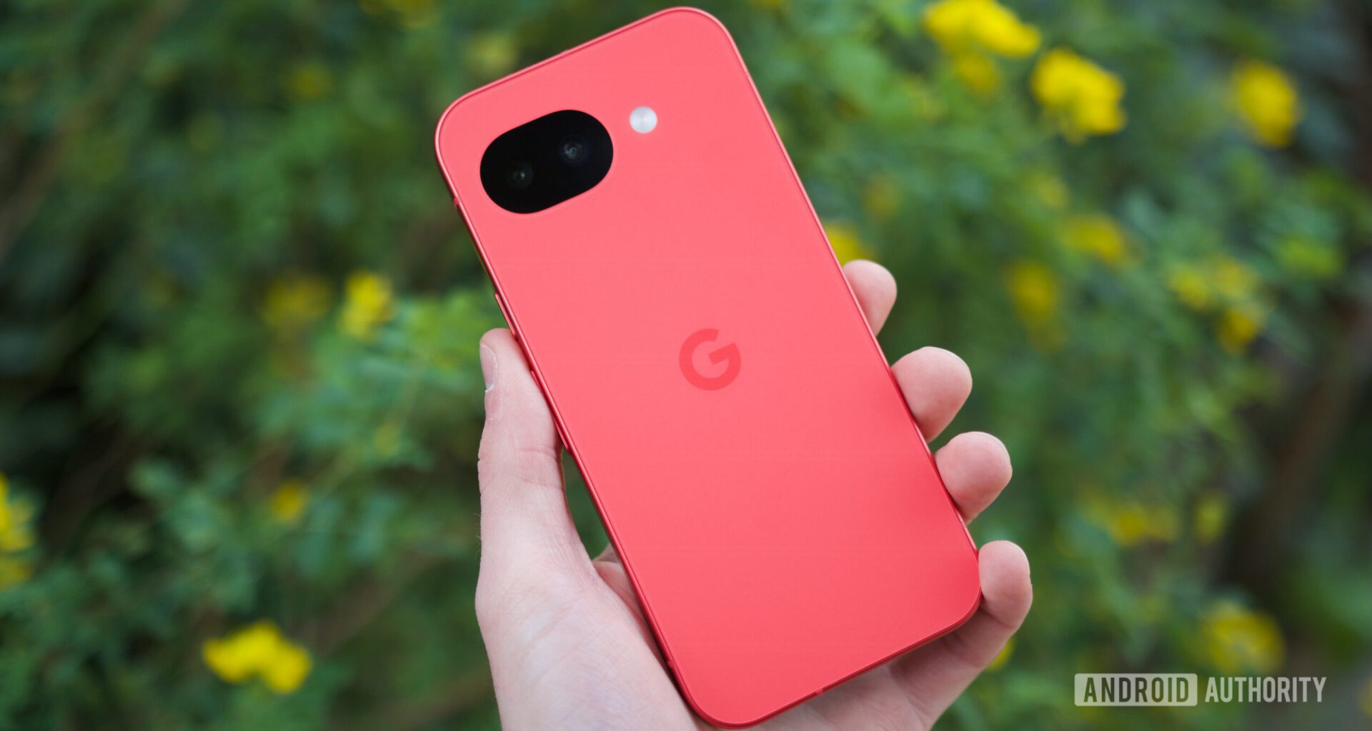 The Google Pixel 10a in its Berry color.