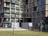 Daylight comparison, main camera (2x): Galaxy S25 Ultra - 46mm, f/1.7, ISO 40, 1/1751s (4000x3000px) - Galaxy S26 Ultra vs. Galaxy S25 Ultra