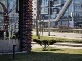 Daylight comparison, telephoto camera (5x): Galaxy S25 Ultra - 115mm, f/3.4, ISO 64, 1/503s (4000x3000px) - Galaxy S26 Ultra vs. Galaxy S25 Ultra