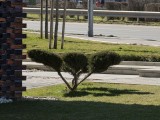 Daylight comparison, telephoto camera (10x): Galaxy S26 Ultra - 230mm, f/2.9, ISO 25, 1/458s (4000x3000px) - Galaxy S26 Ultra vs. Galaxy S25 Ultra