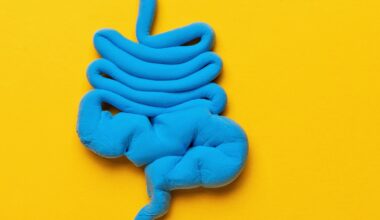 High-fat diets let gut bacteria enter the brain