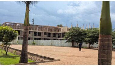 One more Tanzanian health facility to start specialized heart treatment in 2027