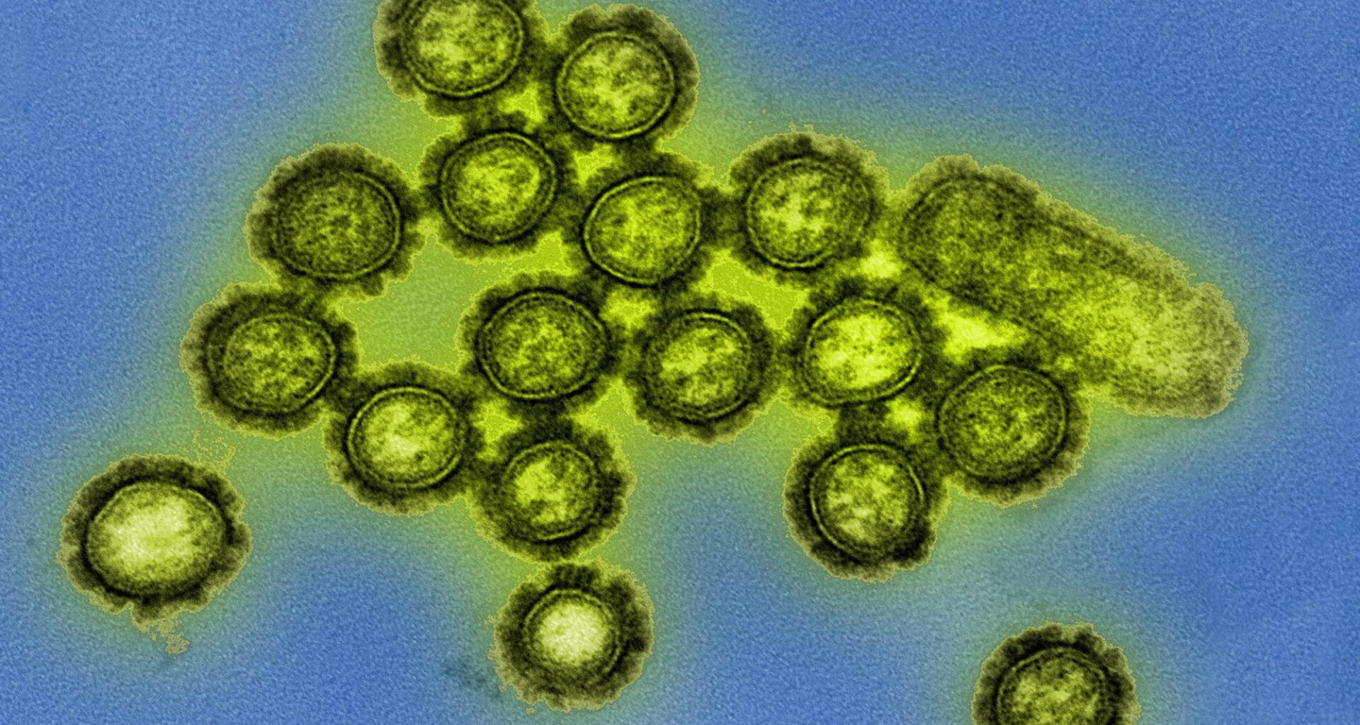 Dual Flu Protein Targeting Cuts Airborne Spread