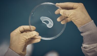 Doctors have long said cartilage can’t regenerate. They're now rethinking that.