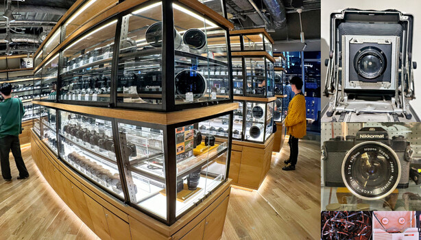 Why Physical Media Is Making a Comeback in 2026