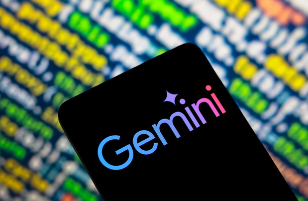 Florida family sues Google after AI chatbot allegedly aided man in his suicide - The Journal