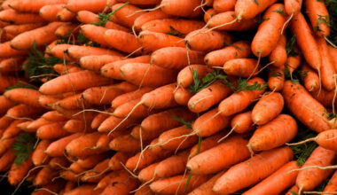 Farmers say the collapse of a major carrot grower is a red flag for Ireland's vegetable farms - The Journal