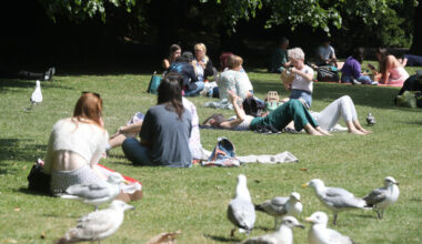 Temperatures are set to hit as high as 18 degrees this week (but not today, obviously) - The Journal