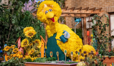 How much do you know about Big Bird? · TheJournal.ie