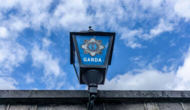 Man in his 70s arrested in connection with investigation into illegal cockfighting - The Journal