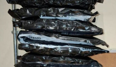 Man arrested as over €100k worth of drugs seized in raid at Bauer Media offices - The Journal