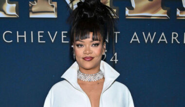 Woman pleads not guilty to attempted murder of Rihanna after shots fired at her home - The Journal