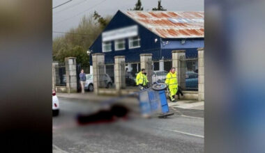 Gardaí investigating after horse pulling sulky dies in collision with two cars - The Journal
