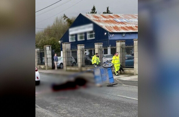 Gardaí investigating after horse pulling sulky dies in collision with two cars - The Journal