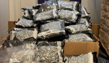 Two men arrested after €1.5m worth of cannabis seized in South Dublin - thejournal.ie