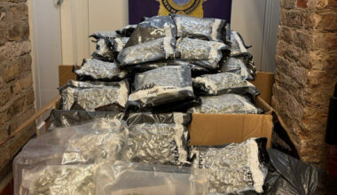 Two brothers (50s) remanded in custody after discovery of €1.5m cannabis 'safehouse' - The Journal