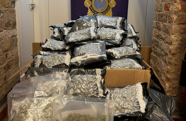 Two brothers (50s) remanded in custody after discovery of €1.5m cannabis 'safehouse' - The Journal